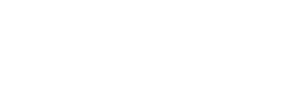 logo_praxxis_default